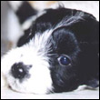 ekesacehy's Avatar