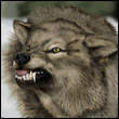 utarerij's Avatar
