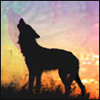 osisuqek's Avatar
