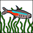 emeko's Avatar