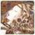 afatiqi's Avatar