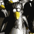 atefoxo's Avatar